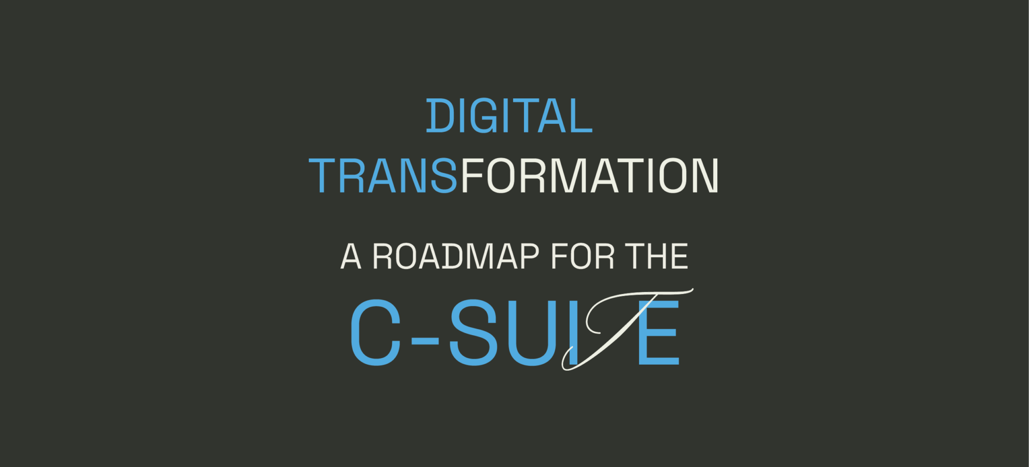 Digital Transformation: A Roadmap for the C-Suite