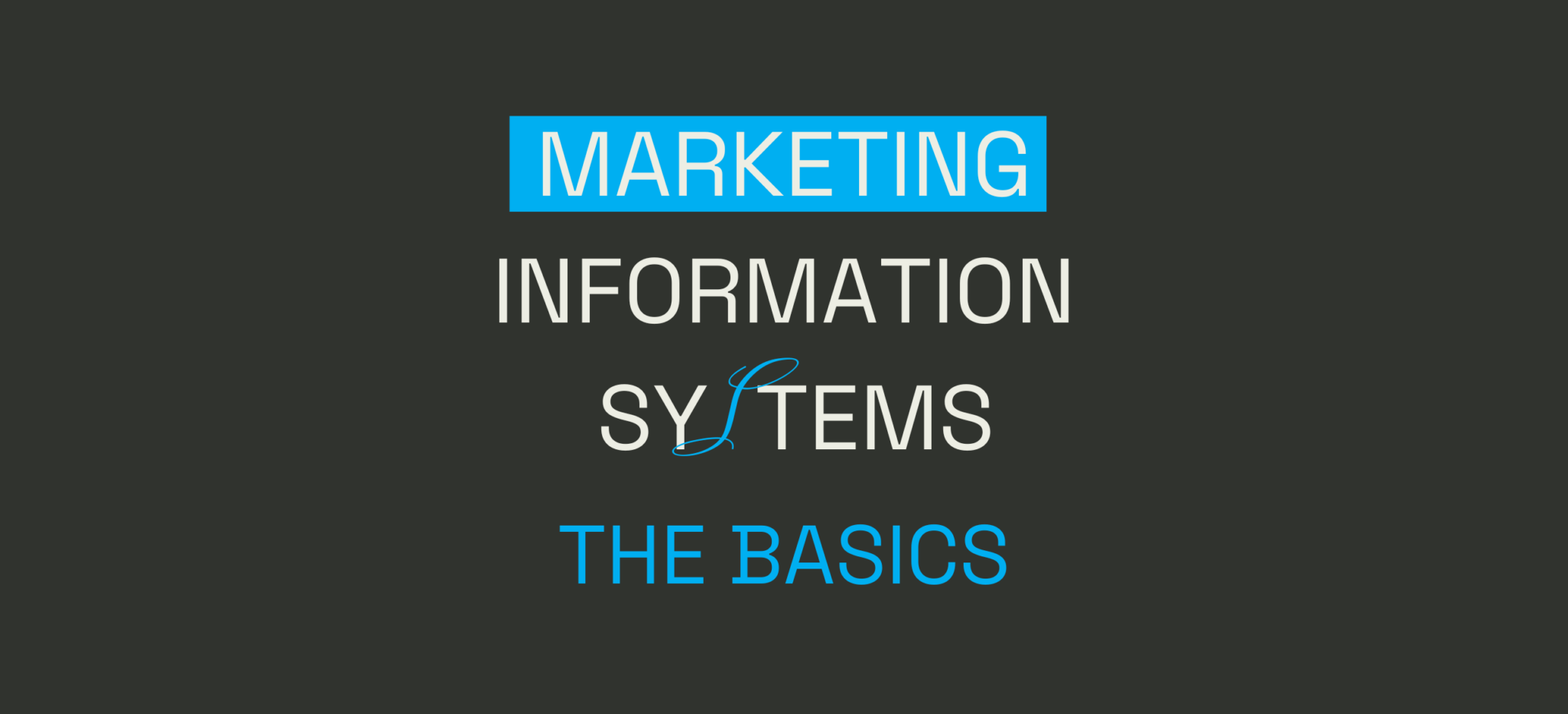 Marketing Information Systems &#8211; The Basics